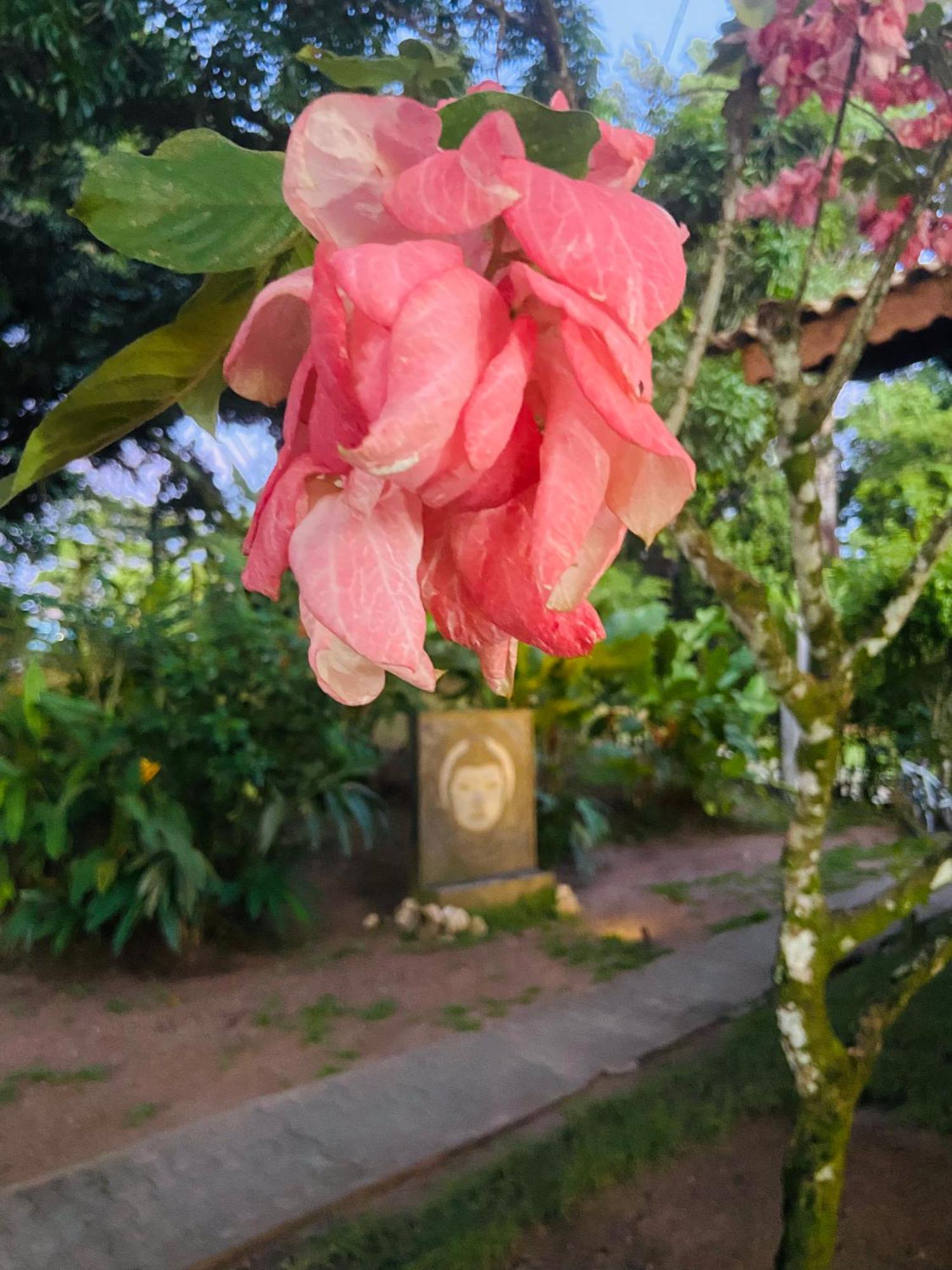 Pousada Coco Dende Velha Boipeba ภายนอก รูปภาพ